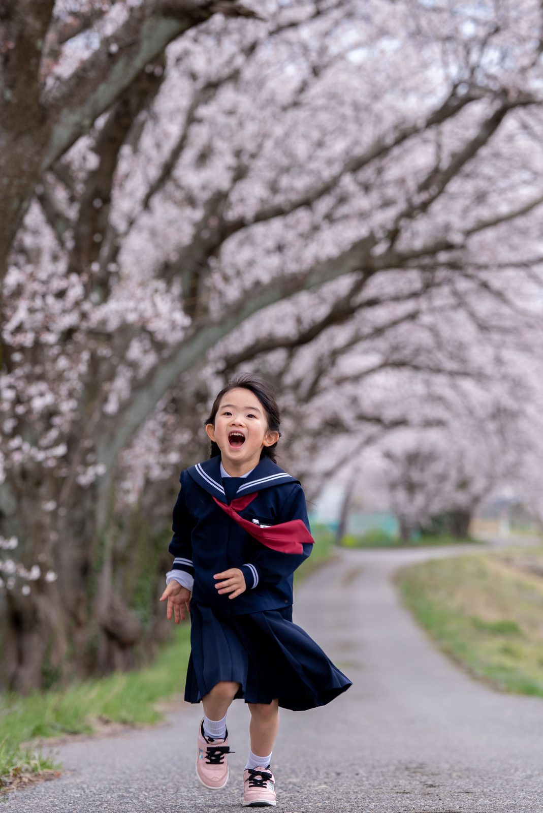 あらた坂の桜並木を、笑いながらこちらへ走ってくる新一年生の女の子