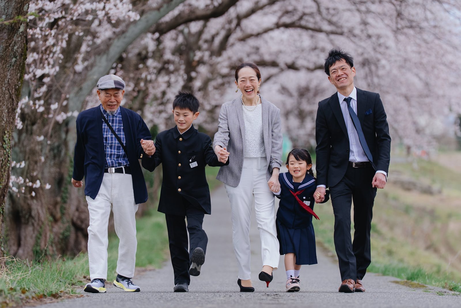 満開の桜がトンネルになったあらた坂を、手をつないで歩く家族