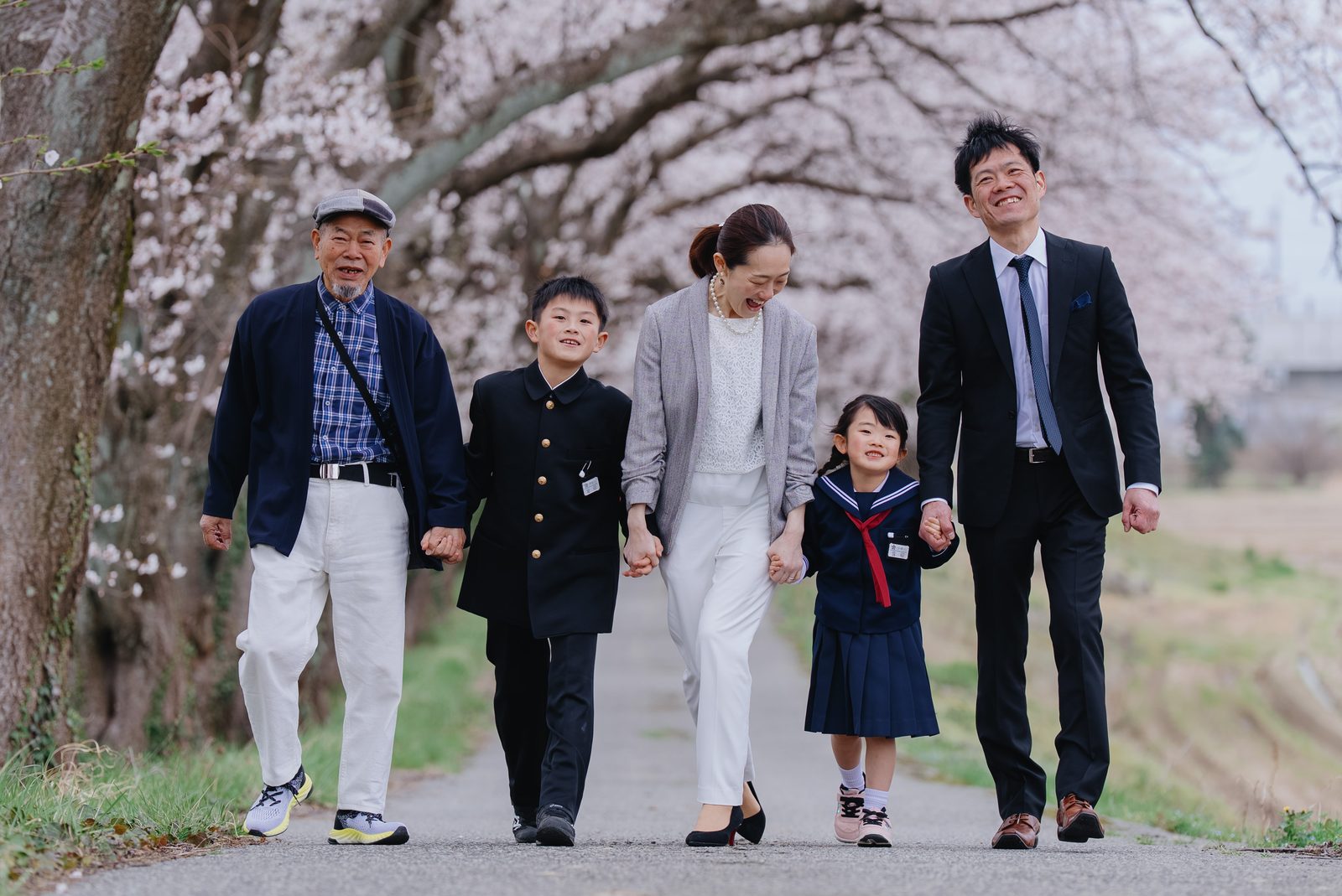 あわら市あらた坂の桜並木を、祖父母と両親、兄妹の三世代6人で歩く家族写真